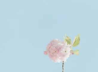 优直播